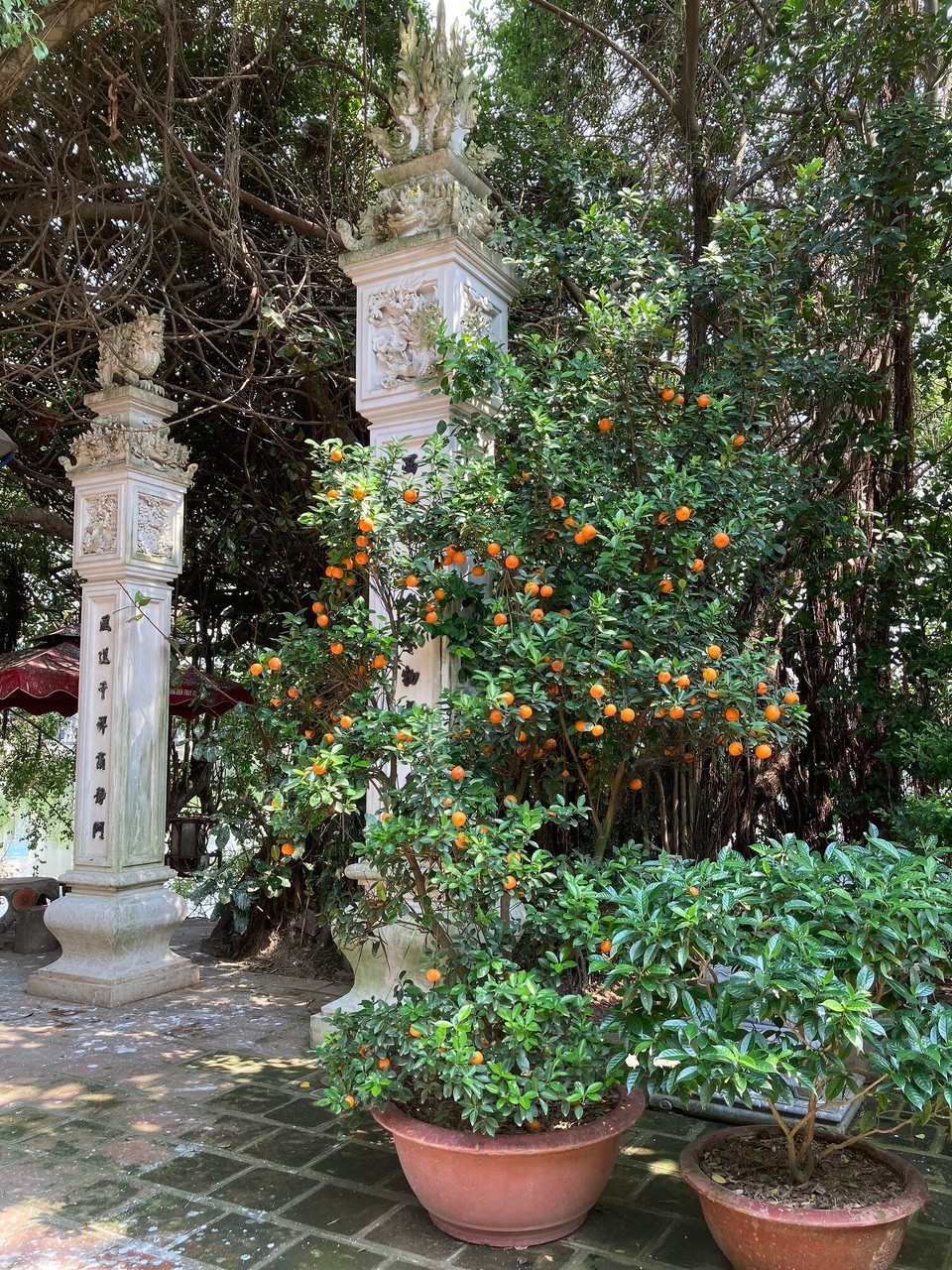 Vietnam - Hanoi - 