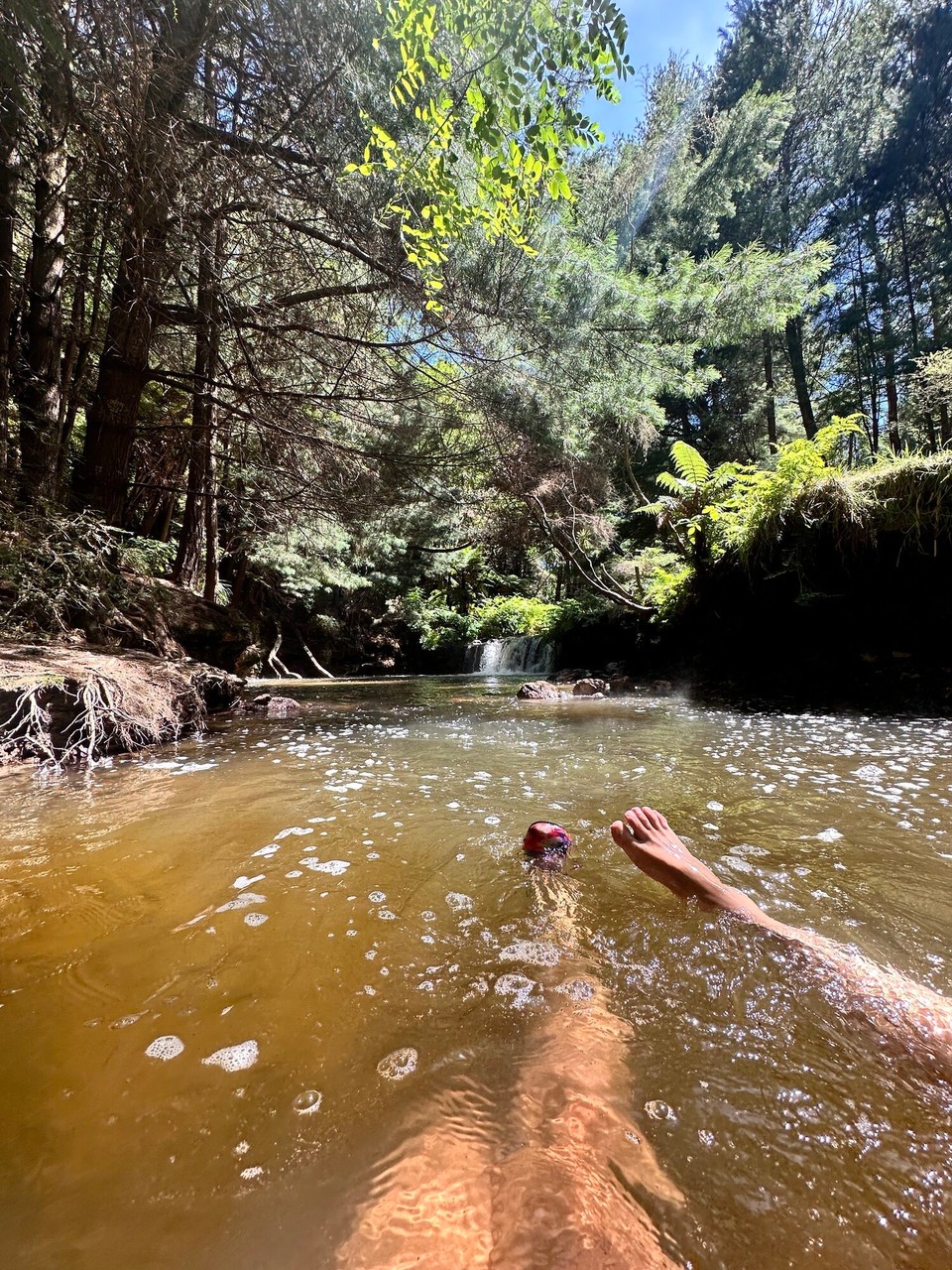 Neuseeland - Reporoa - 