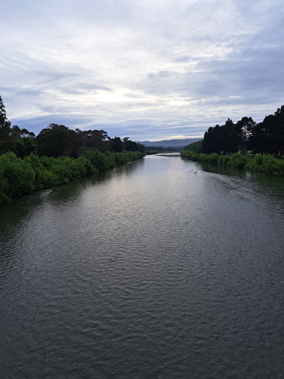 Neuseeland - Palmerston North - 