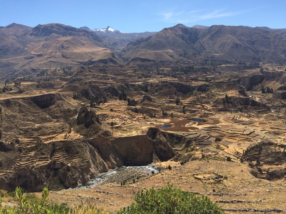 Peru - Arequipa - Terrassen aus der Inkazeit