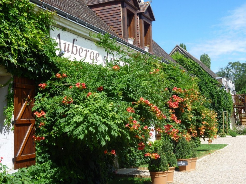 Frankreich - Amboise - 