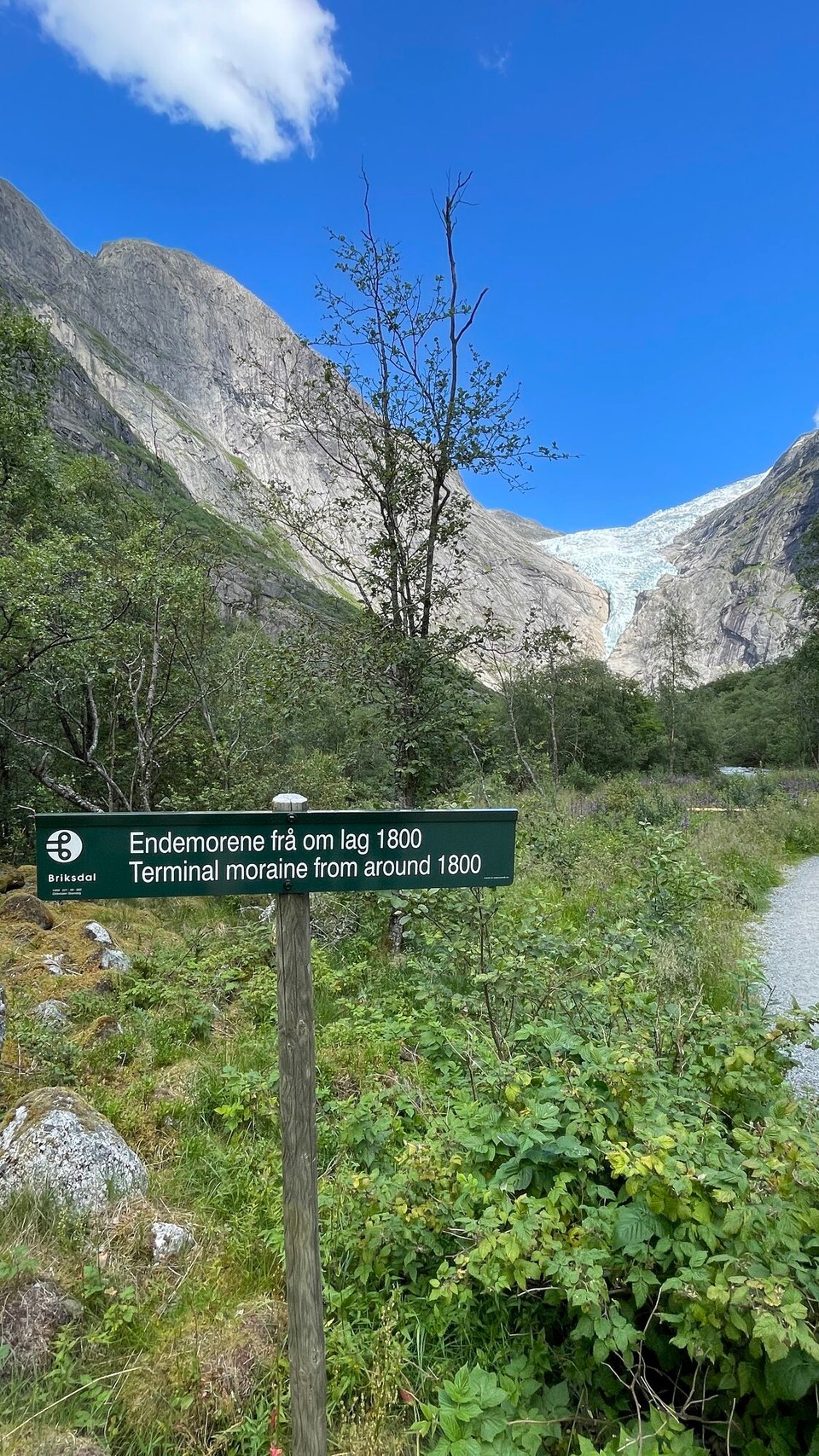 Norwegen - Briksdalsbre - 