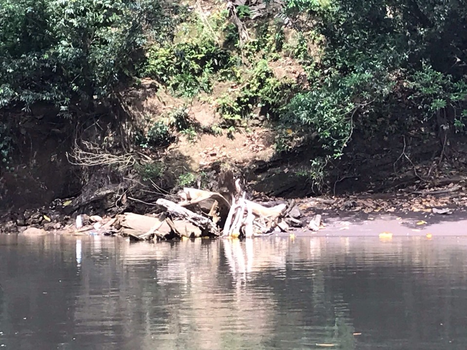 Costa Rica - Paraiso - 
