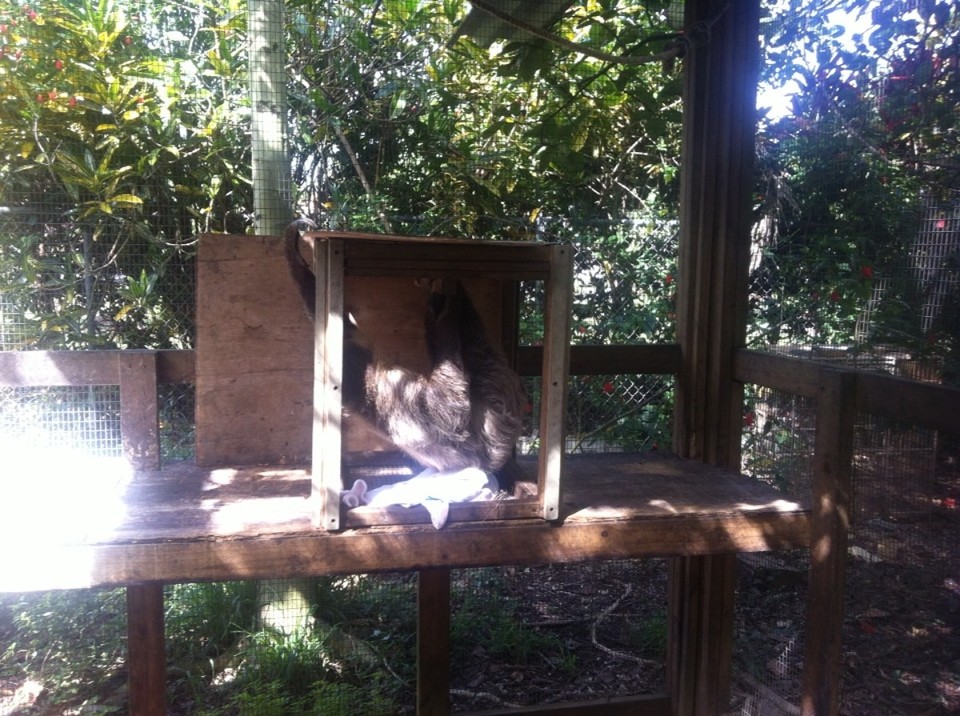 Egyesült Államok - Homestead - 