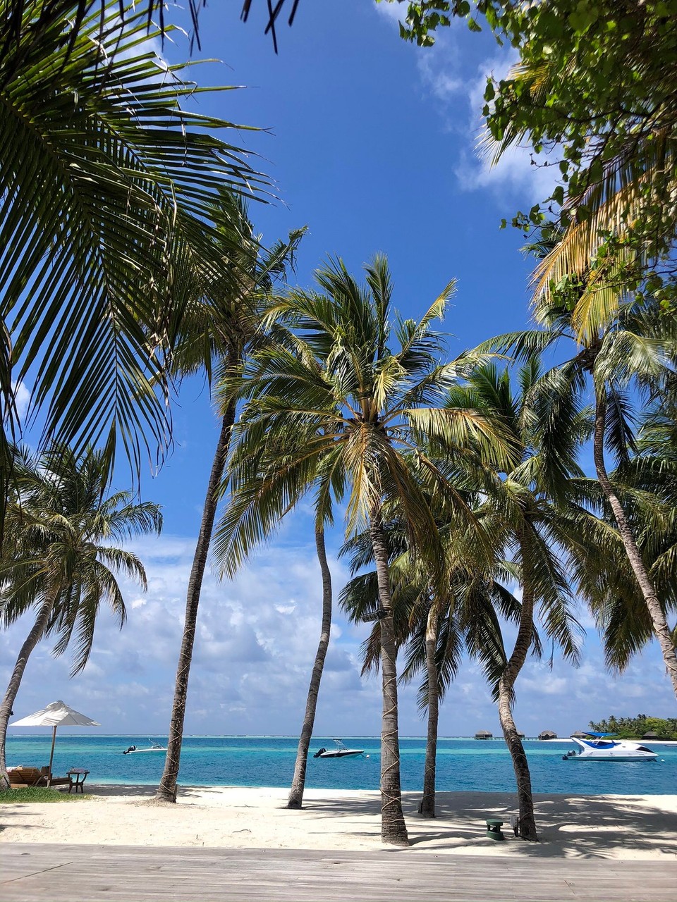 Maldives - Rangali - 