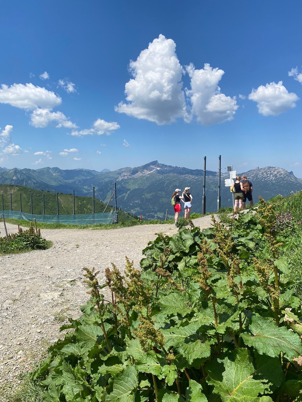 Deutschland - Oberstdorf - Entstanden aus der ehemaligen Verschiebung der Erdplatten