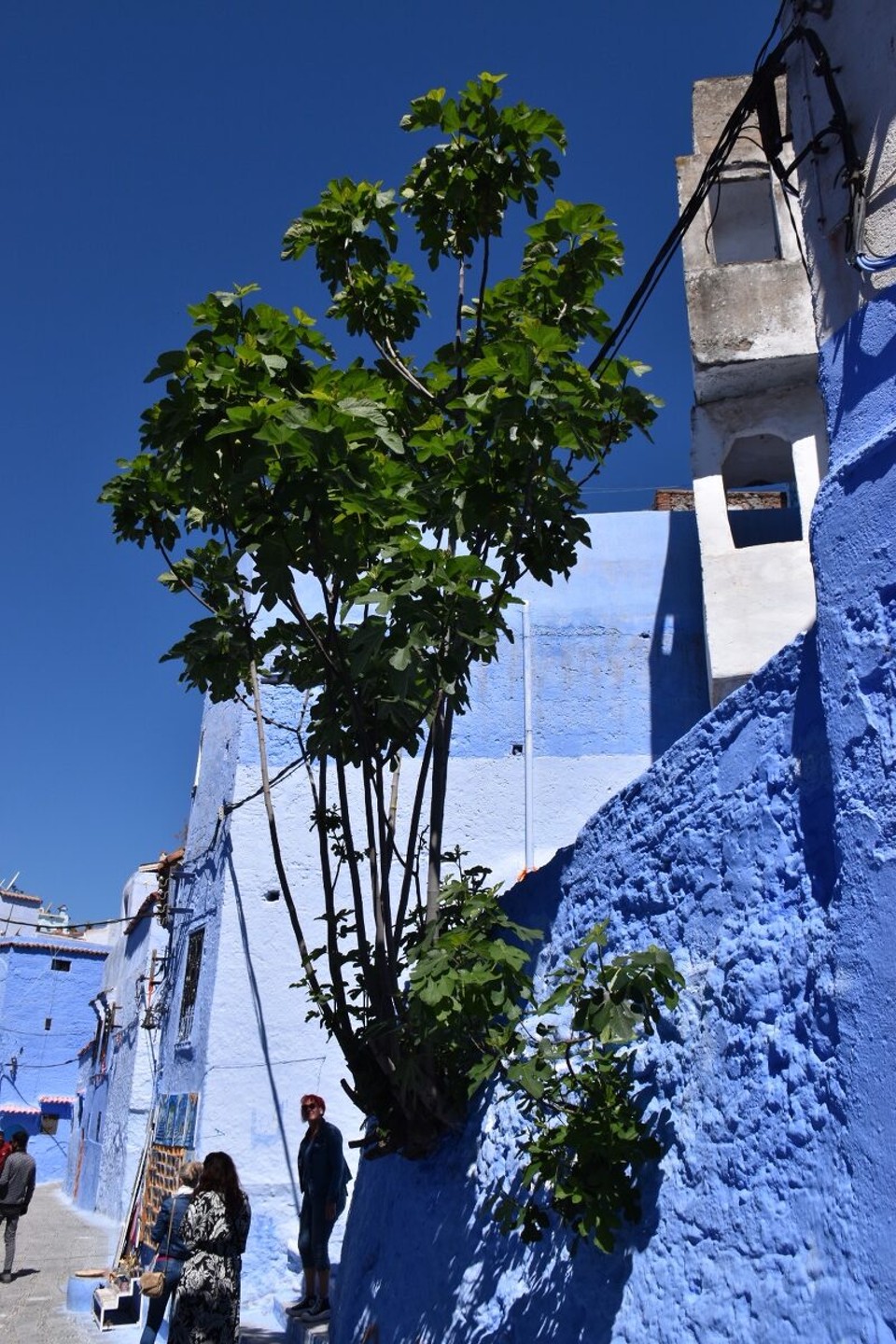 Marokko - Chefchaouen - 