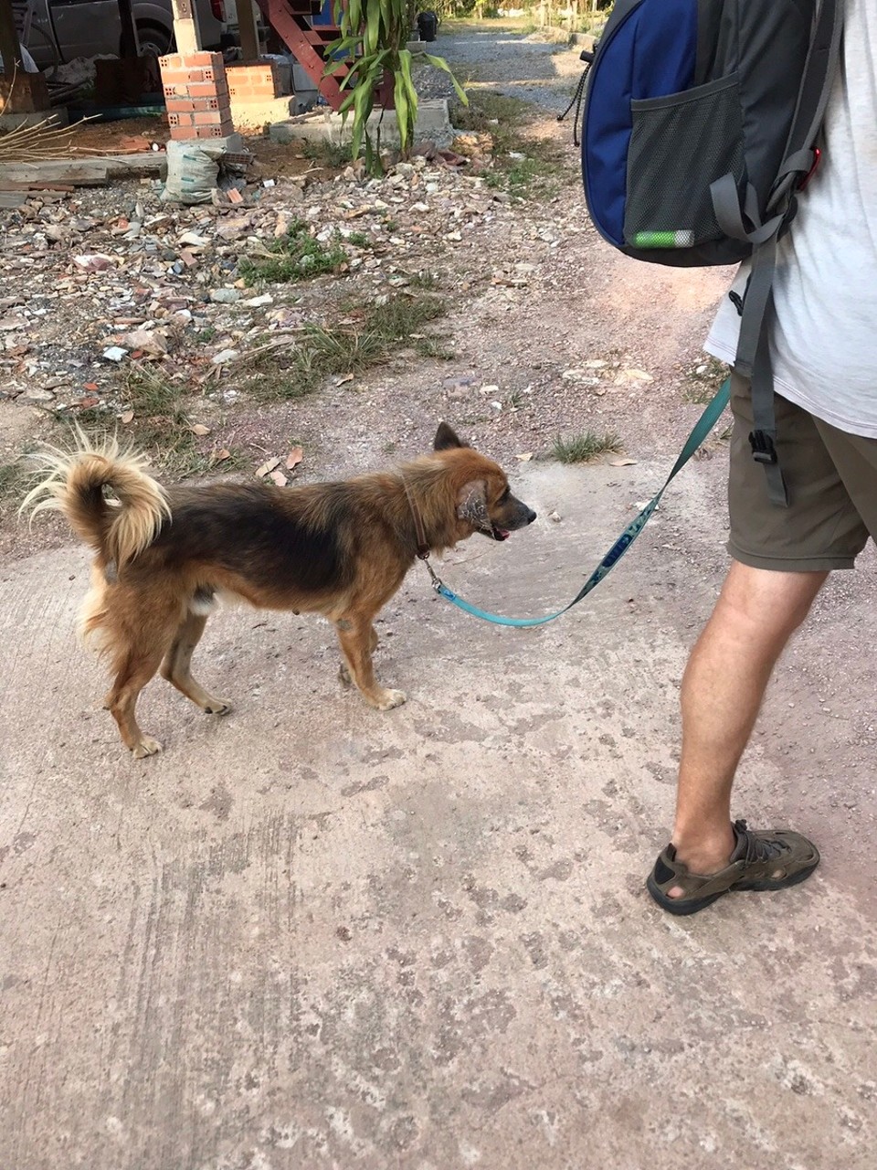 Thailand - Amphoe Ko Lanta - J and I walking ‘Chicken’, he also broke my 💔 