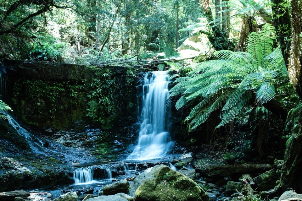 Australien - Franklin - Horseshoe Falls