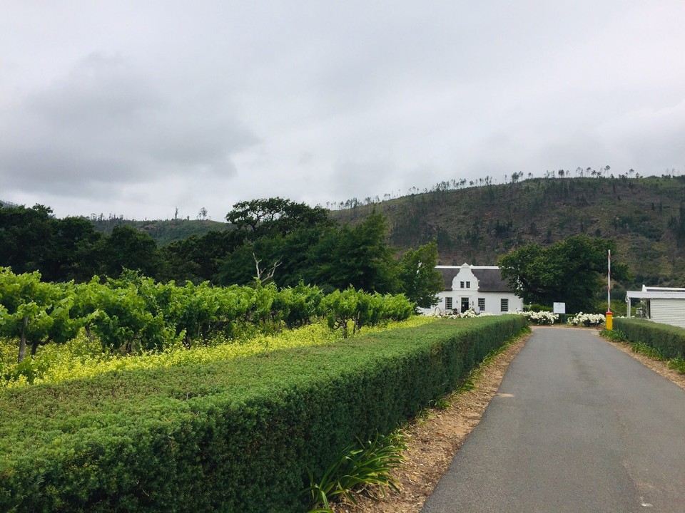Südafrika - Stellenbosch - 