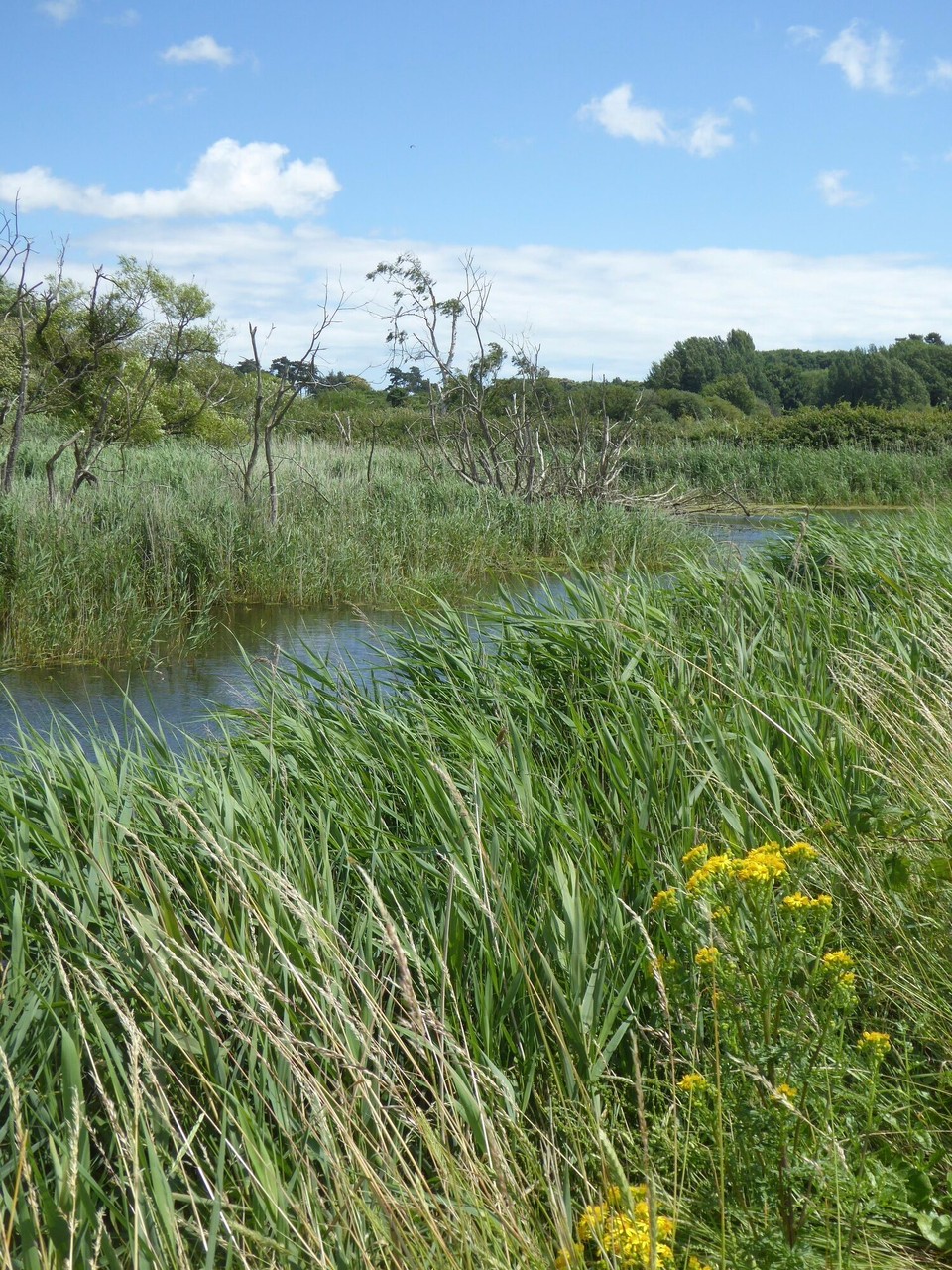 United Kingdom - Woodbridge - 