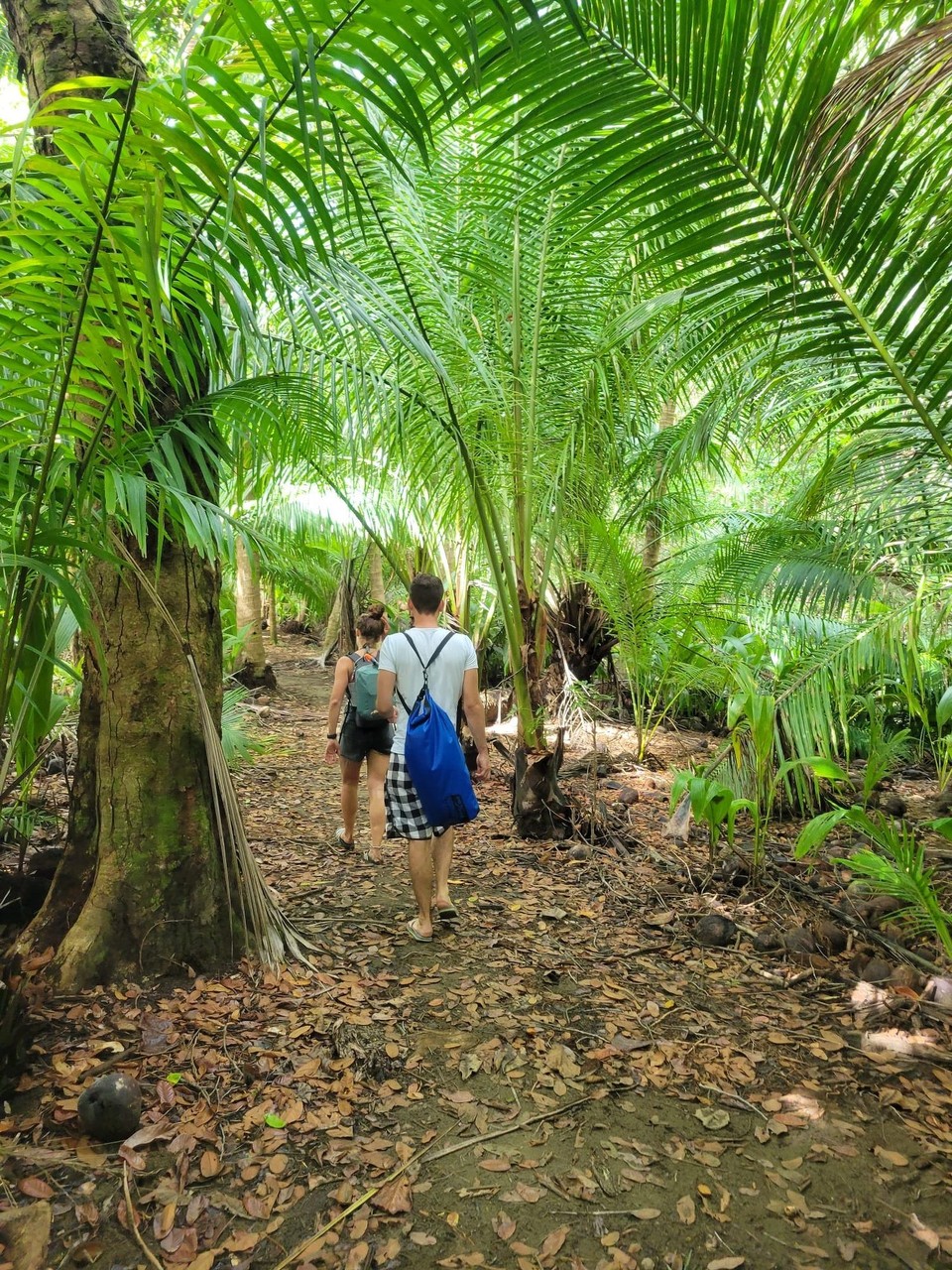 Costa Rica - Osa - Anschließend durften wir den Nationalpark…