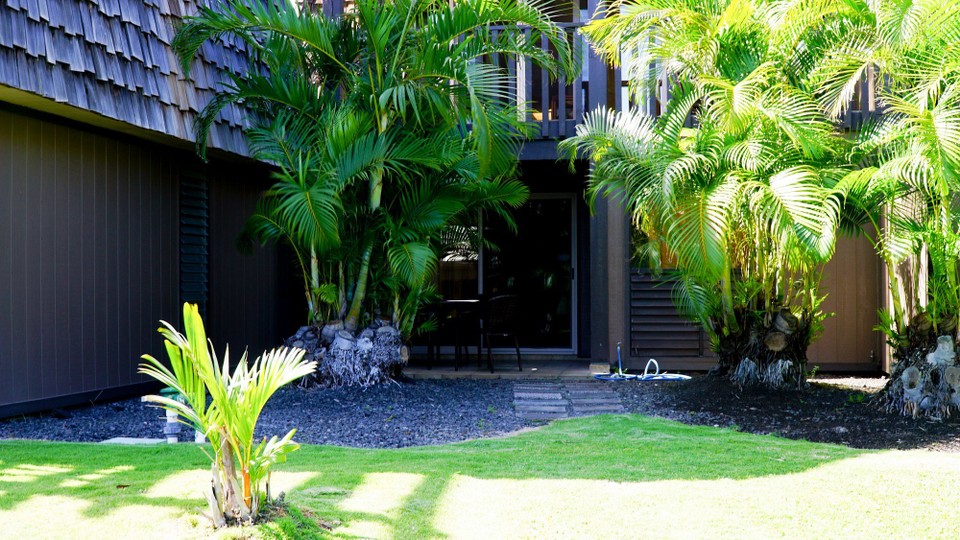 USA - Pahala - 