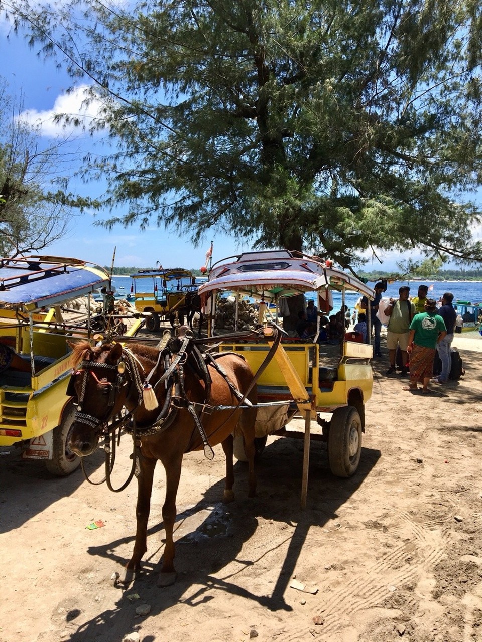 Indonesien - Lombok Utara - Auf Gili Trawangan gibt es nur Velos und Pferde 🌴
