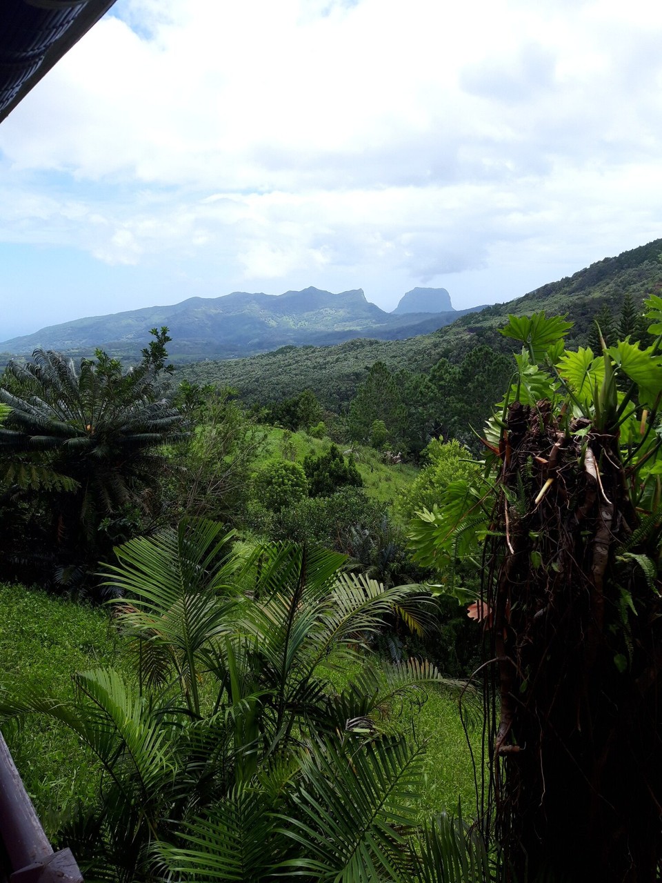 Mauritius - Port Louis - Vue iwerz d'Bierger