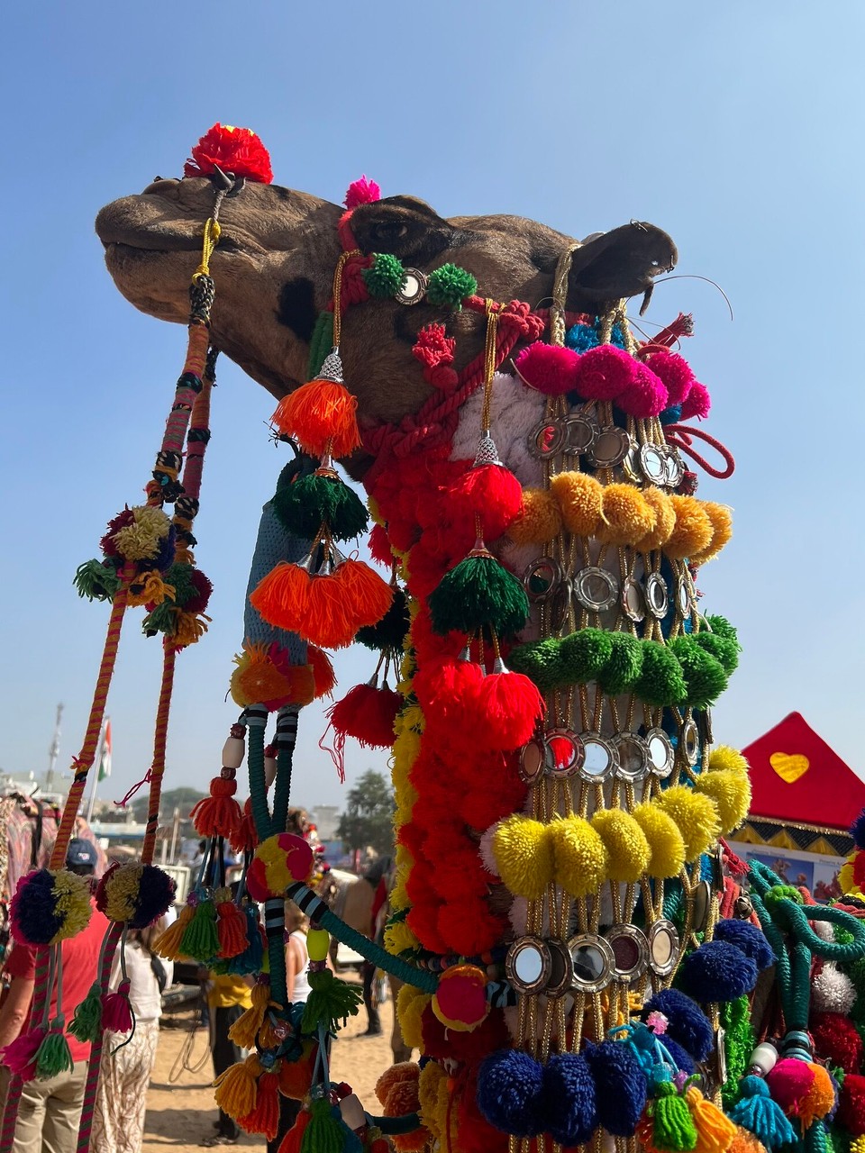Indien - Pushkar - 