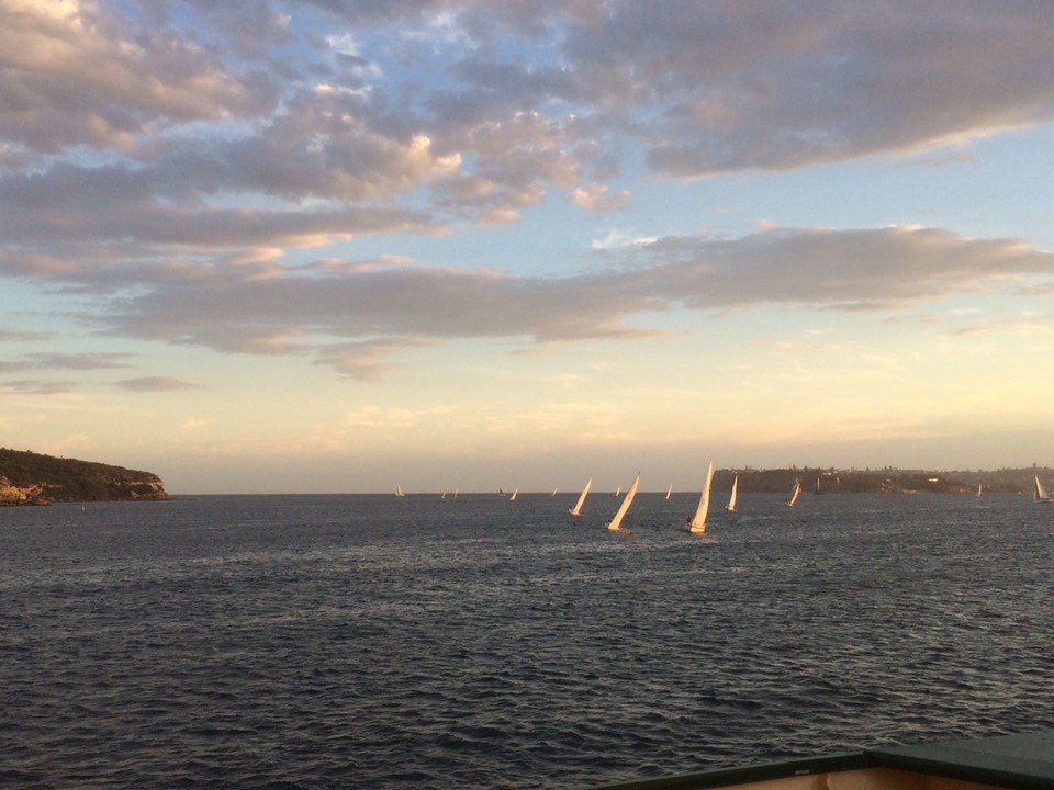 Australia - Annandale - Late night sailing