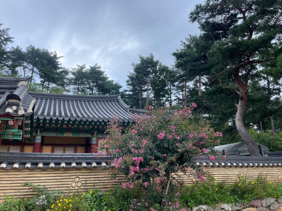 대한민국 - 강릉시 - 