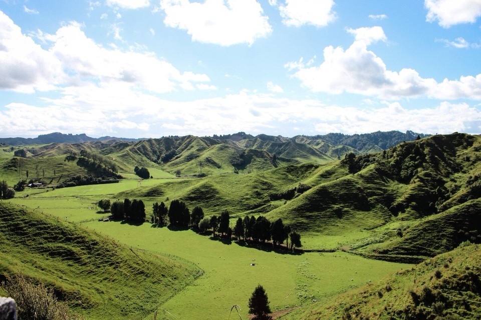 Neuseeland -  - Deshalb lieben wir NZ! 
