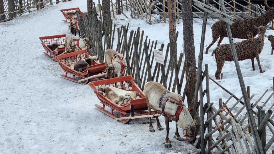 Finnland - Rovaniemi - 