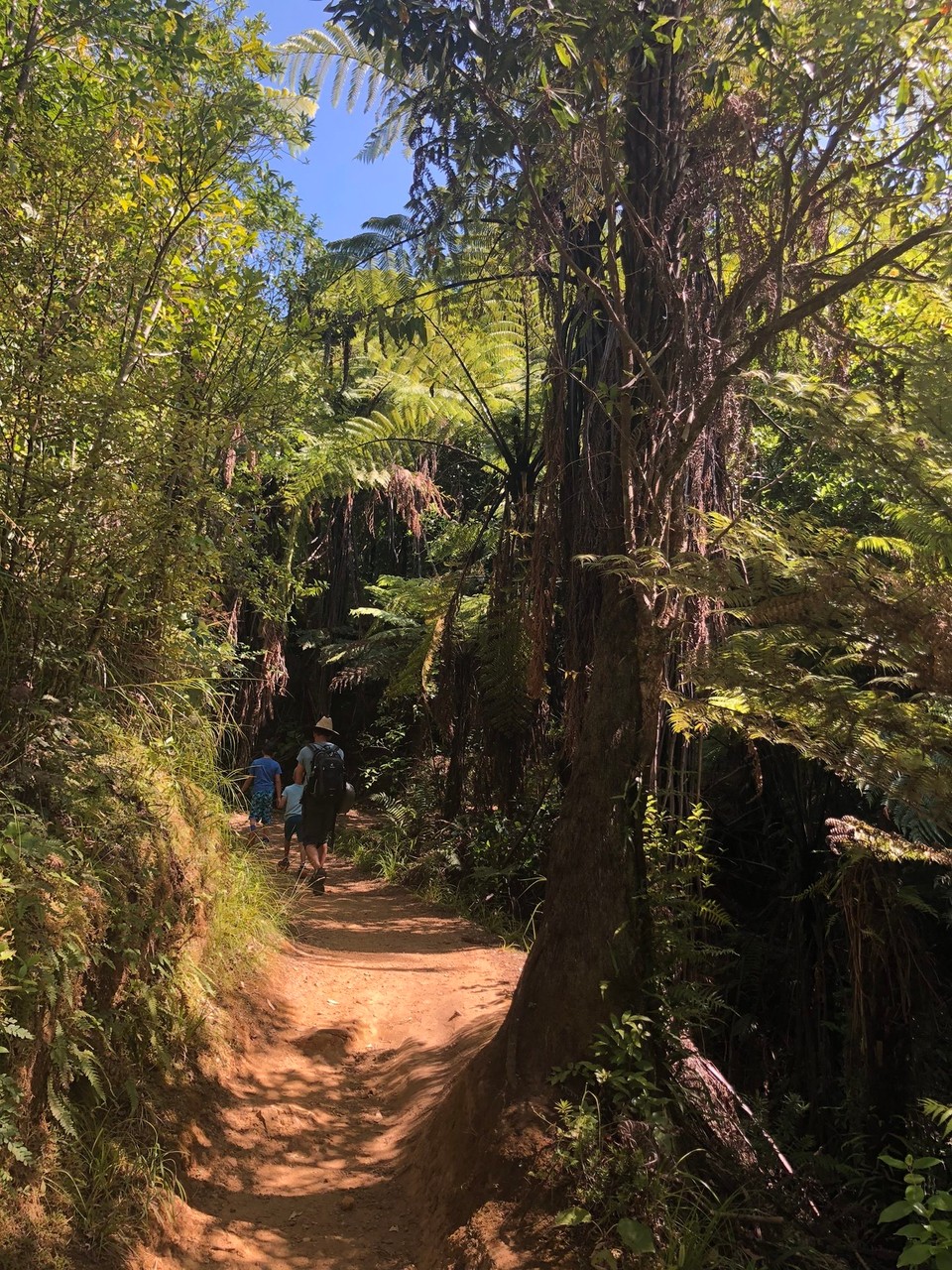 Neuseeland - Waihi Beach - 