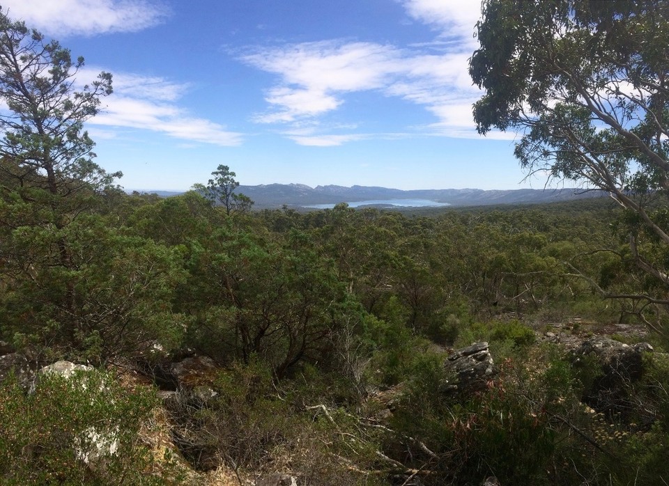 Australia - Glenisla - You can just spot the lake in the background.