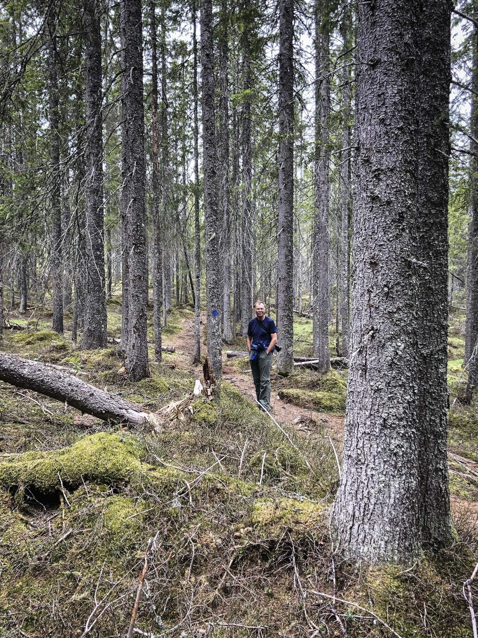 Schweden - Nationalpark Skuleskogen - 