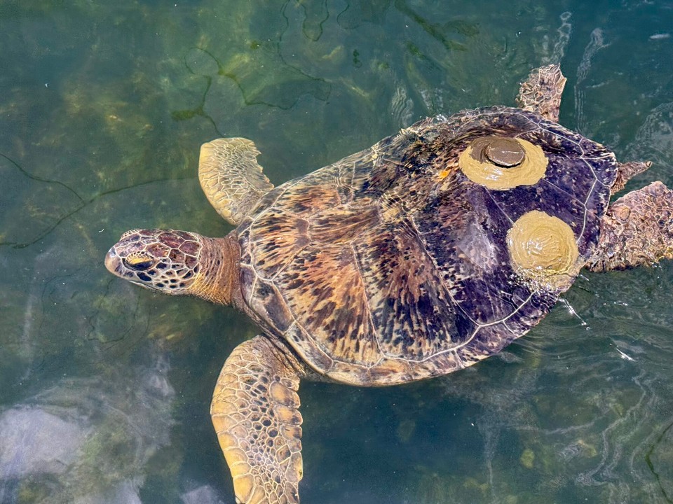 Vereinigte Staaten - Marathon - Wir sind krank 