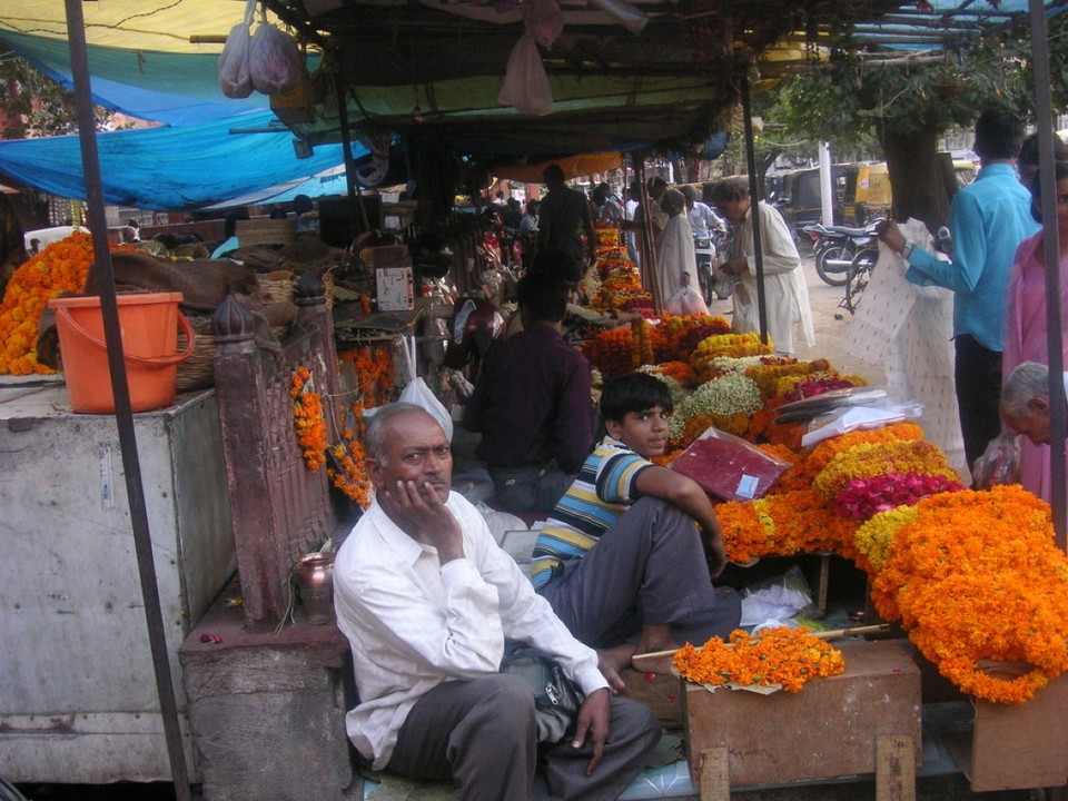 Indien - Jaipur - 