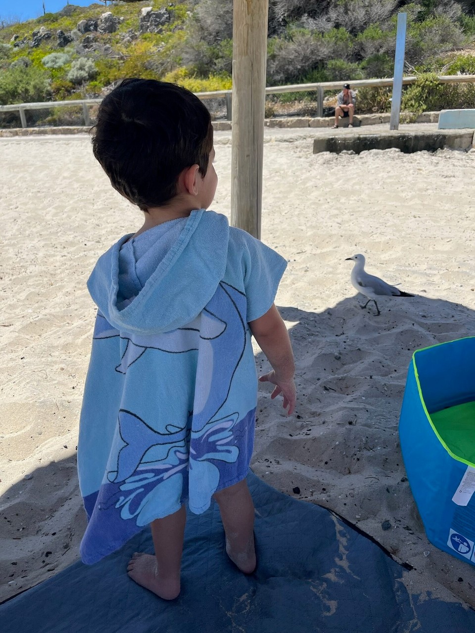 Australien - Cottesloe - Dort konnte man Möwen beobachten…