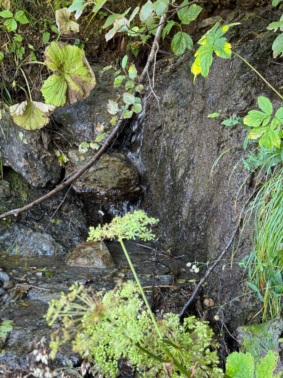 Österreich - Obernberg am Brenner - 