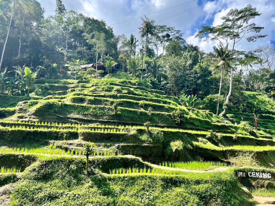 Indonesien - Gianyar - 