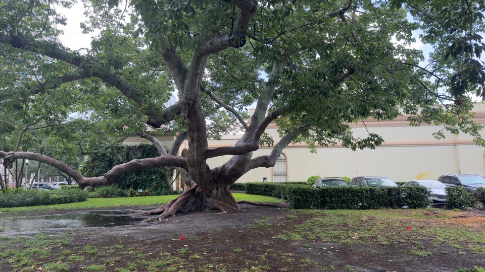 Vereinigte Staaten - Saint Petersburg - 