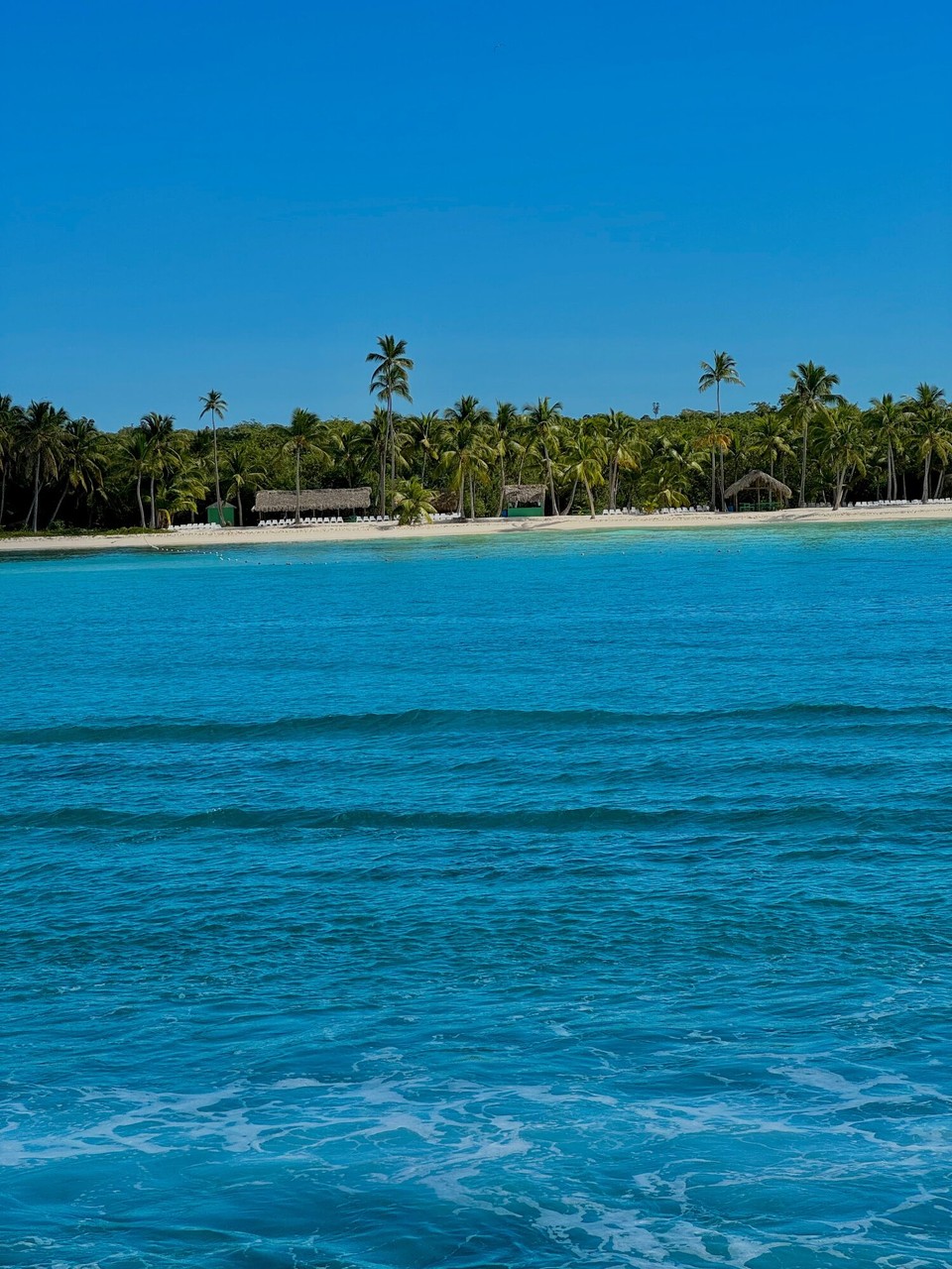 Dominican Republic - Punta Cana - das WASSER