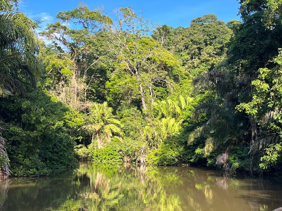 Costa Rica - Pococí - … und die Natur bei Abenddämmerung bestaunen 🤩 