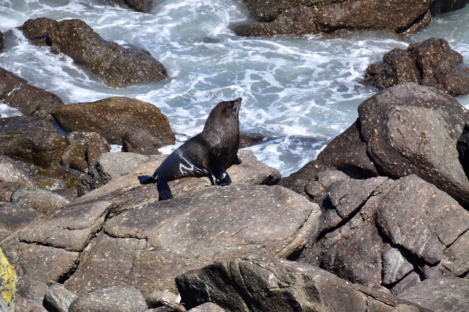 Neuseeland - Hokitika - 