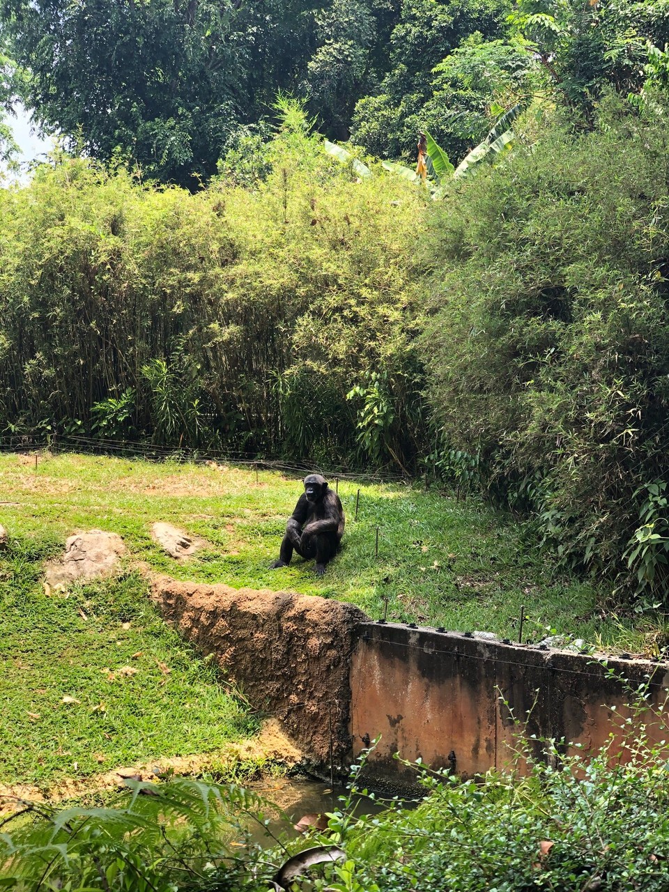 Singapur - Macpherson - Irgendwie menschlich