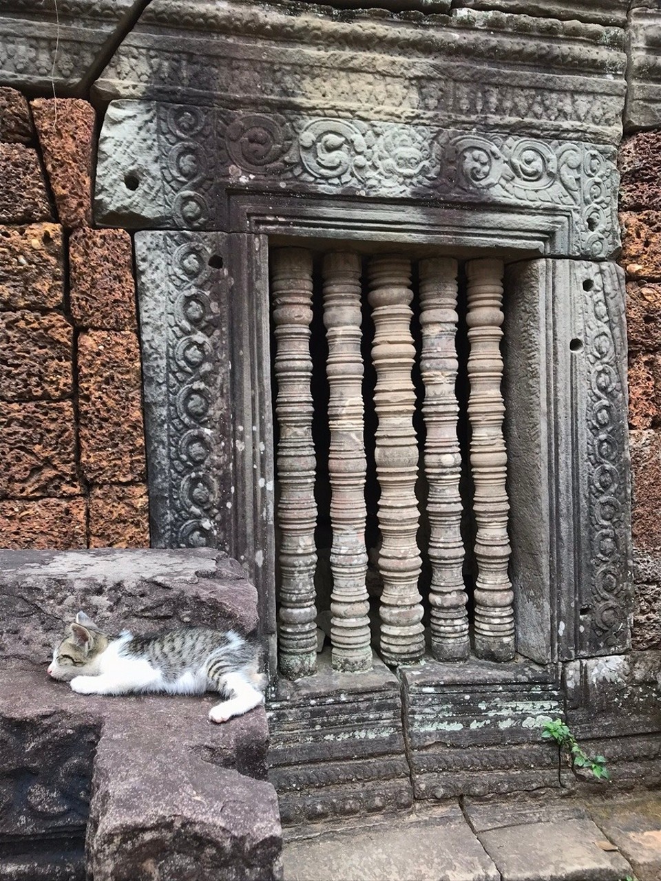 Cambodia - Siem Reap - Baby C taking a nap