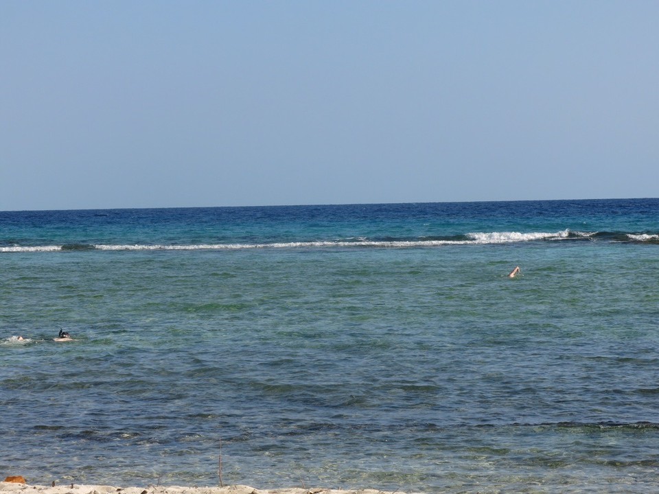  - Cuba, Playa Larga-Playa Girón - 