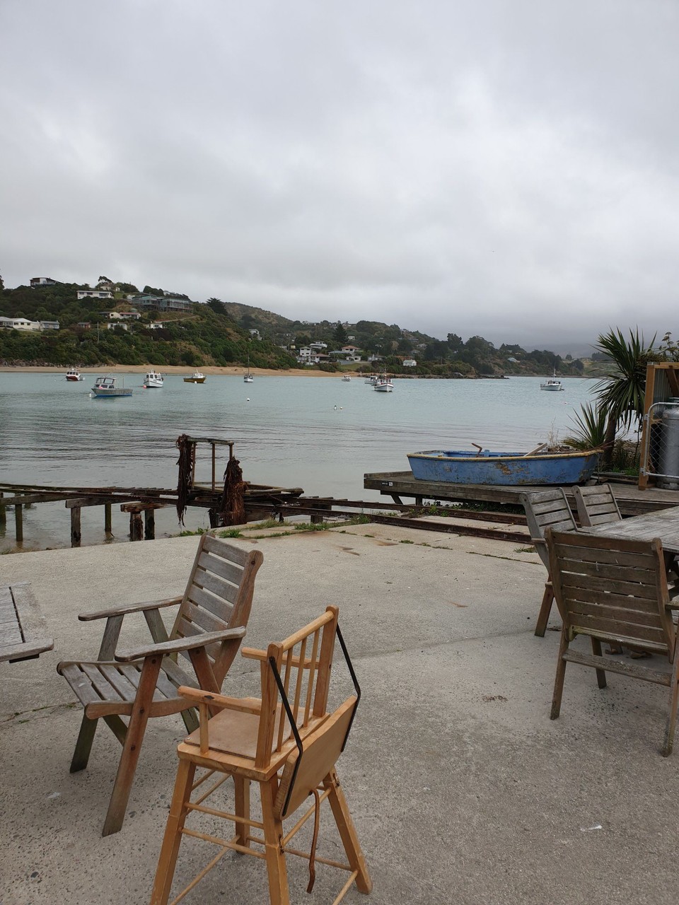 Neuseeland - Oamaru - 