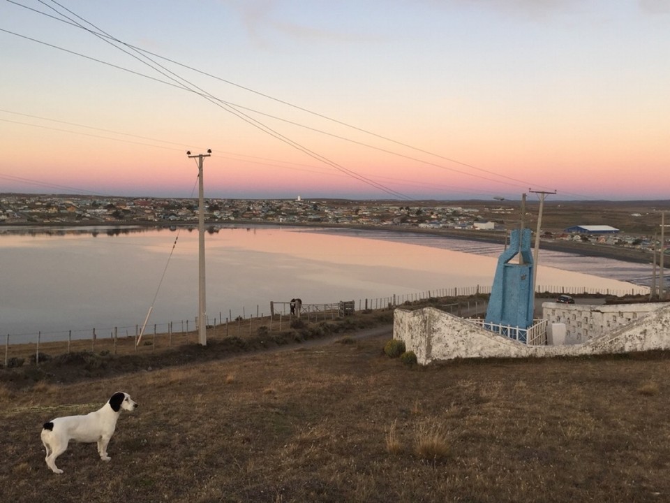Chile - Punta Arenas & Porvenir - Sunset Picnic above Porvenir with Snoopy 