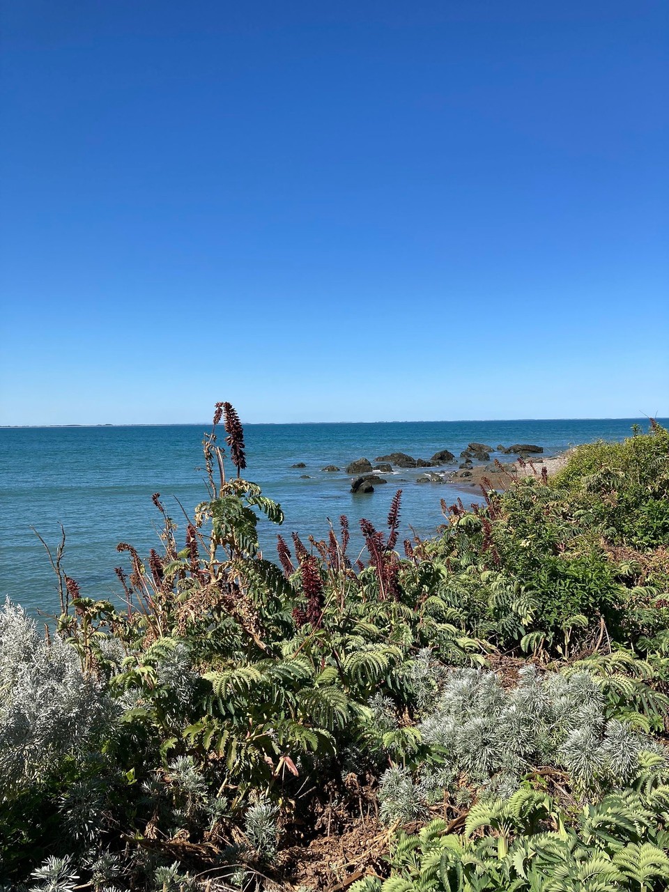 Neuseeland - Invercargill - 