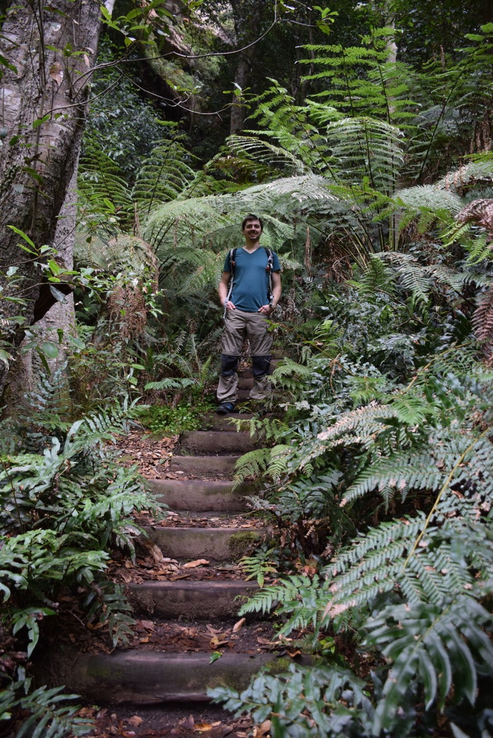 Australien - Wentworth Falls - Florian im Urwald
