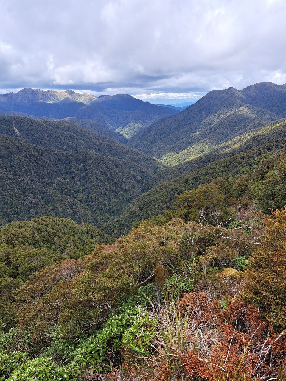 Neuseeland - Te Aroha trail PK - 
