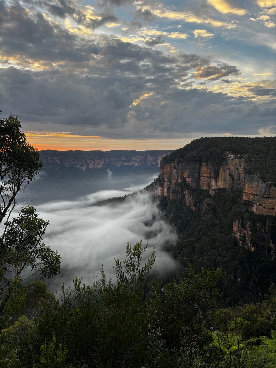 Australien - Blue Mountains - 