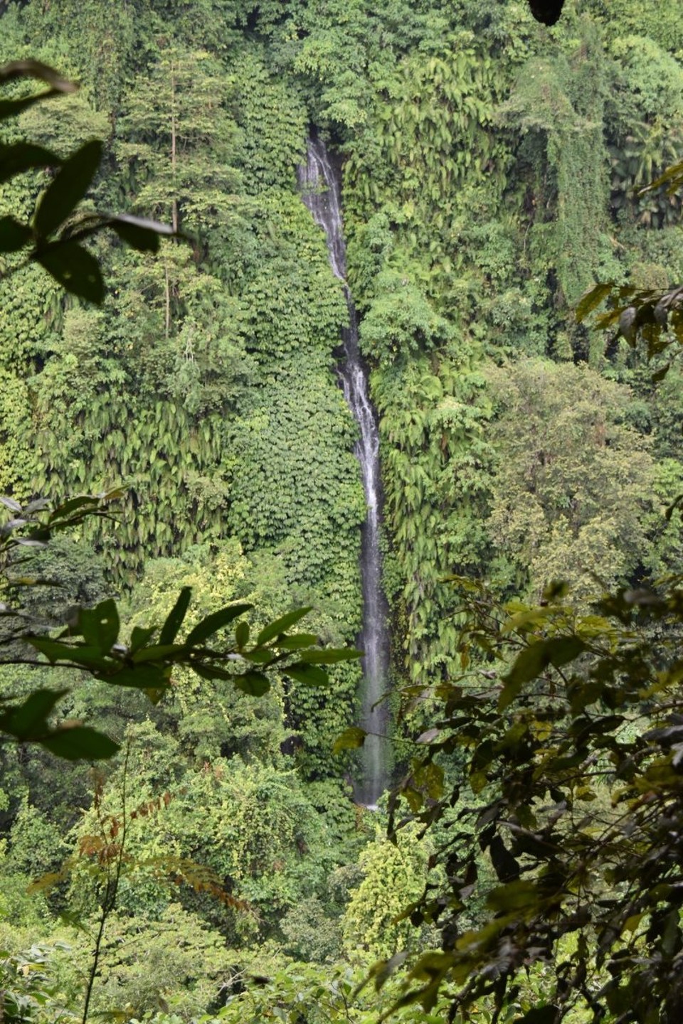 Indonesien - Kabupaten Lombok Utara - Im Regenwald konnten wir das erstes Ziel den „Sendang Gile“ Wasserfall erblicken.