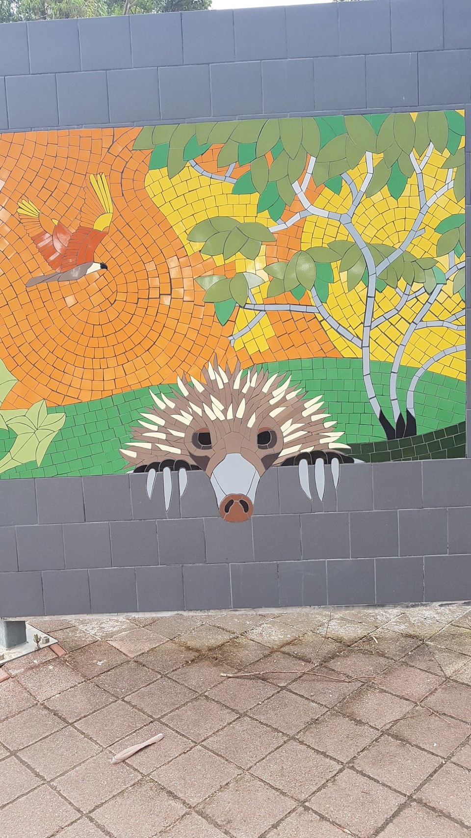 Australien - Adelaide - Mosaik eines australischen Igels