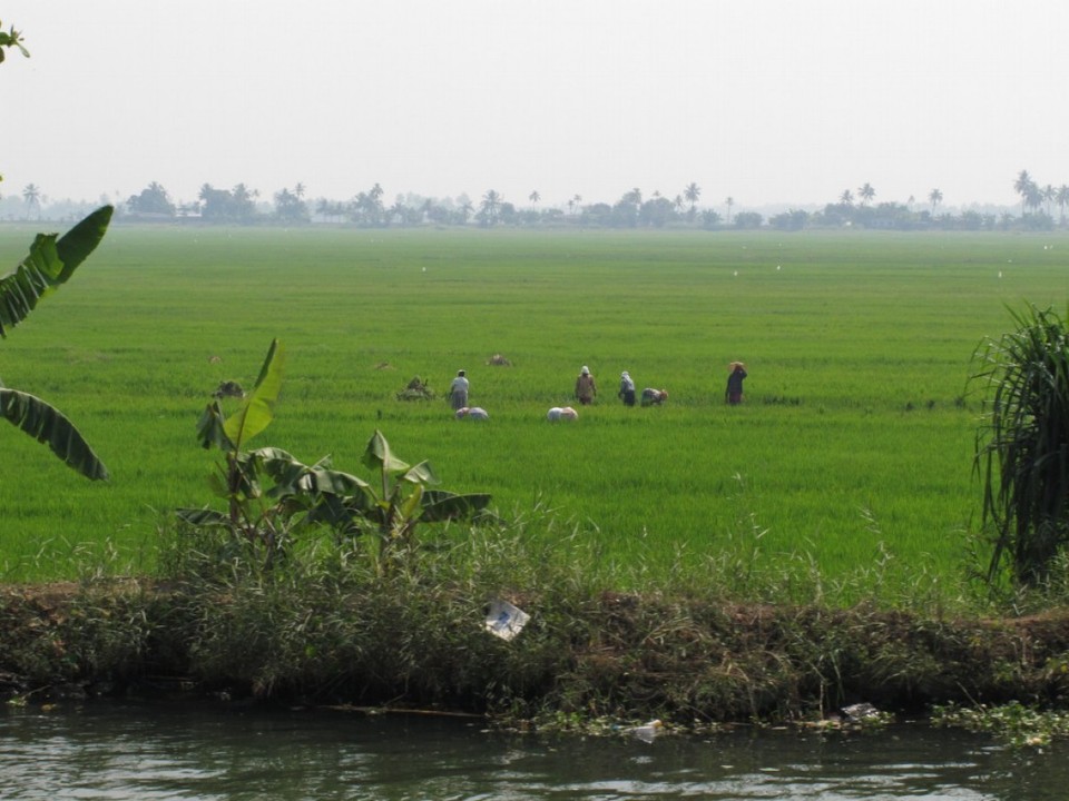 Indien - Alappuzha - 