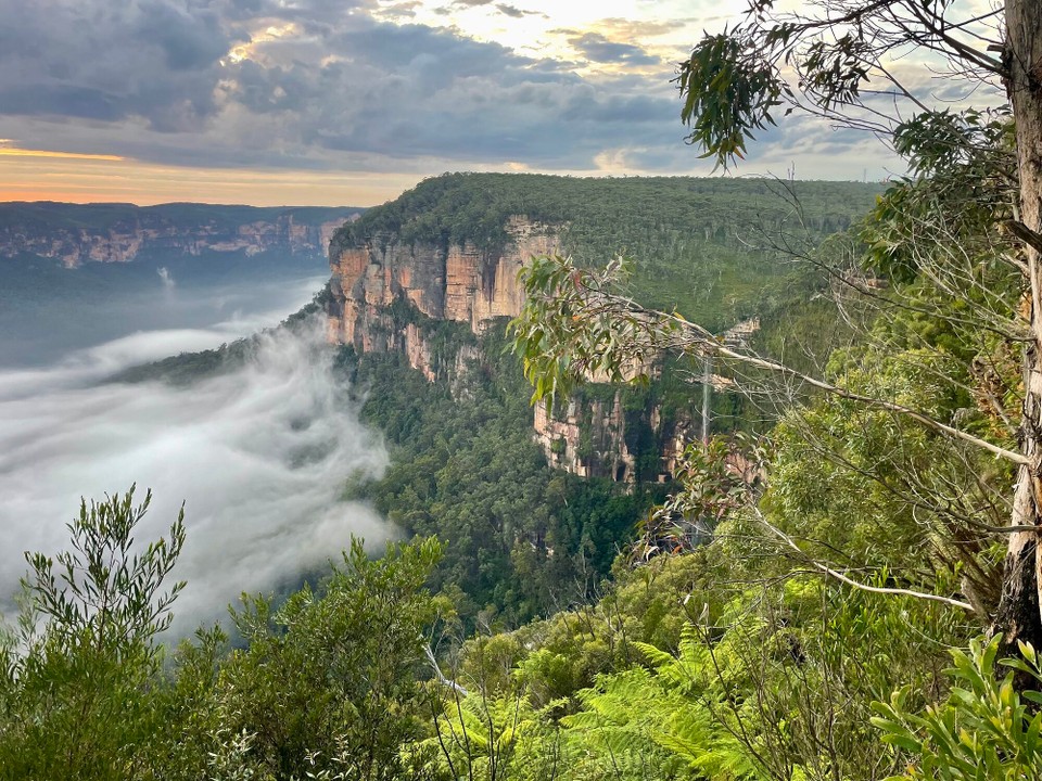 Australien - Blue Mountains - 