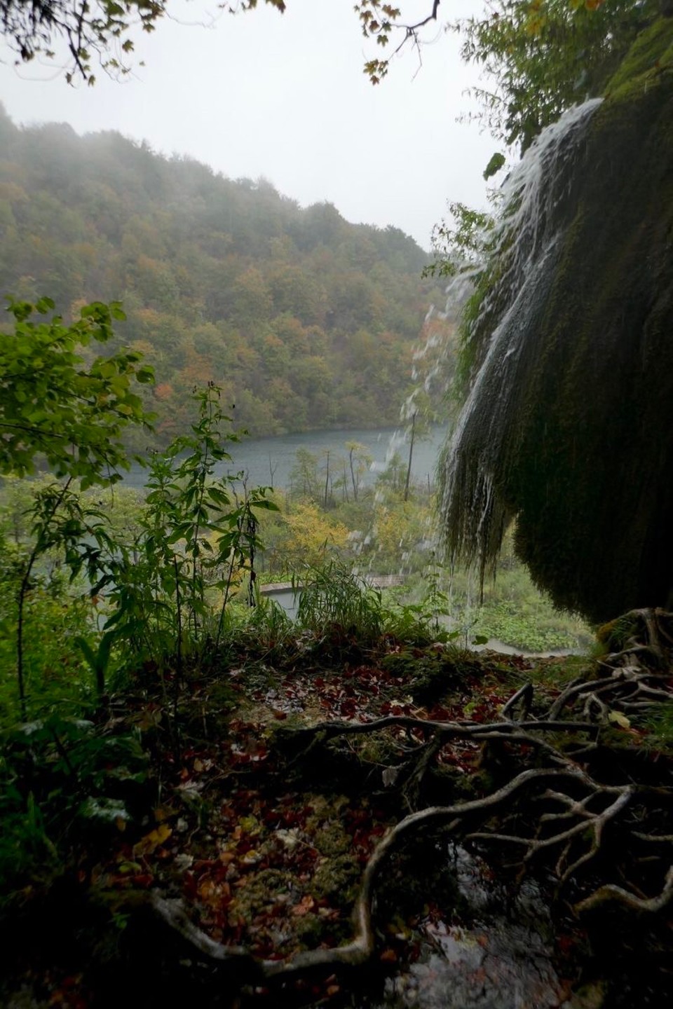 Croatia - Plitvička jezera - 